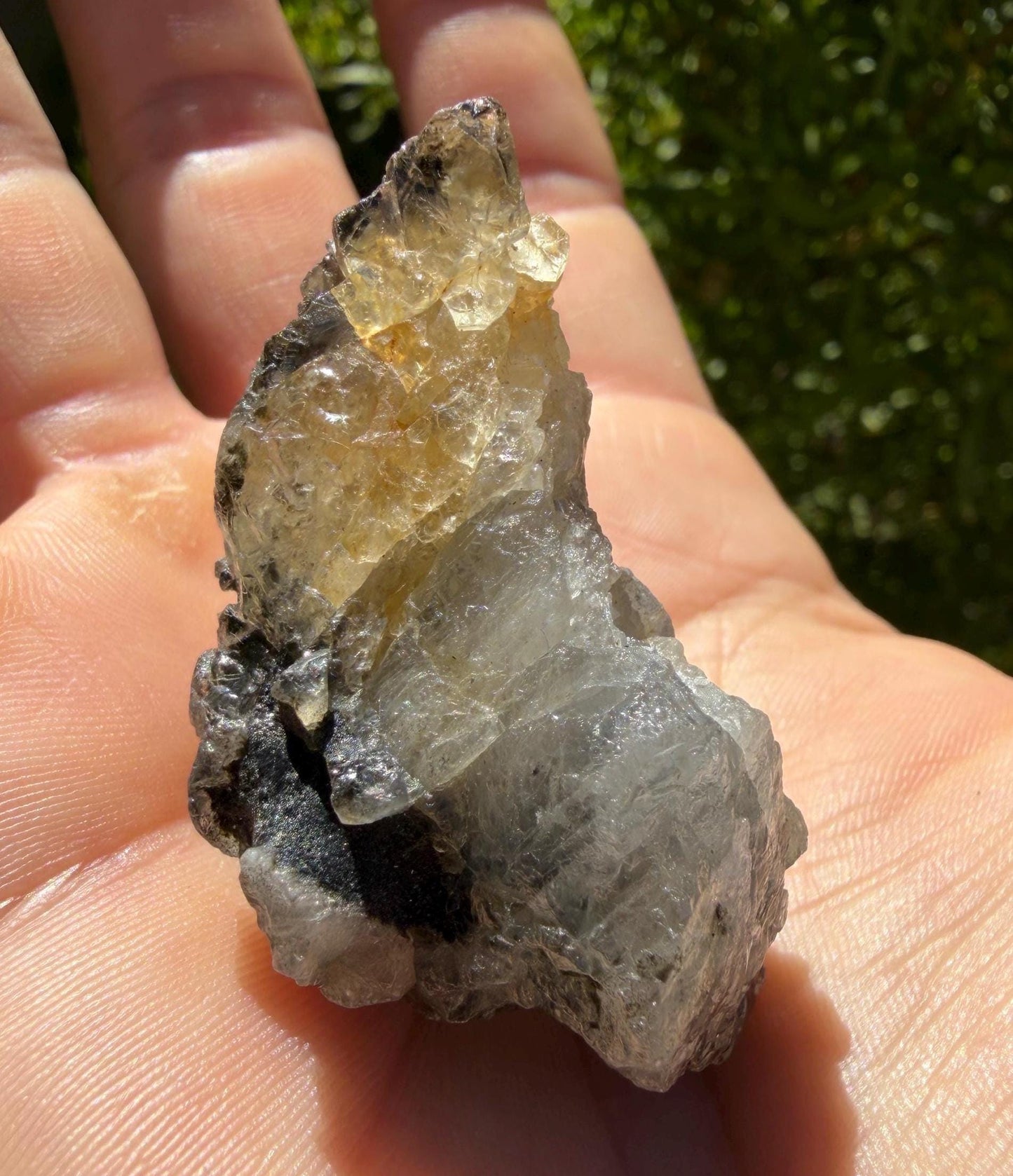 Rare Bicolor Brazilian Phenacite Crystal 45.90g Golden & Clear – Powerful Energy