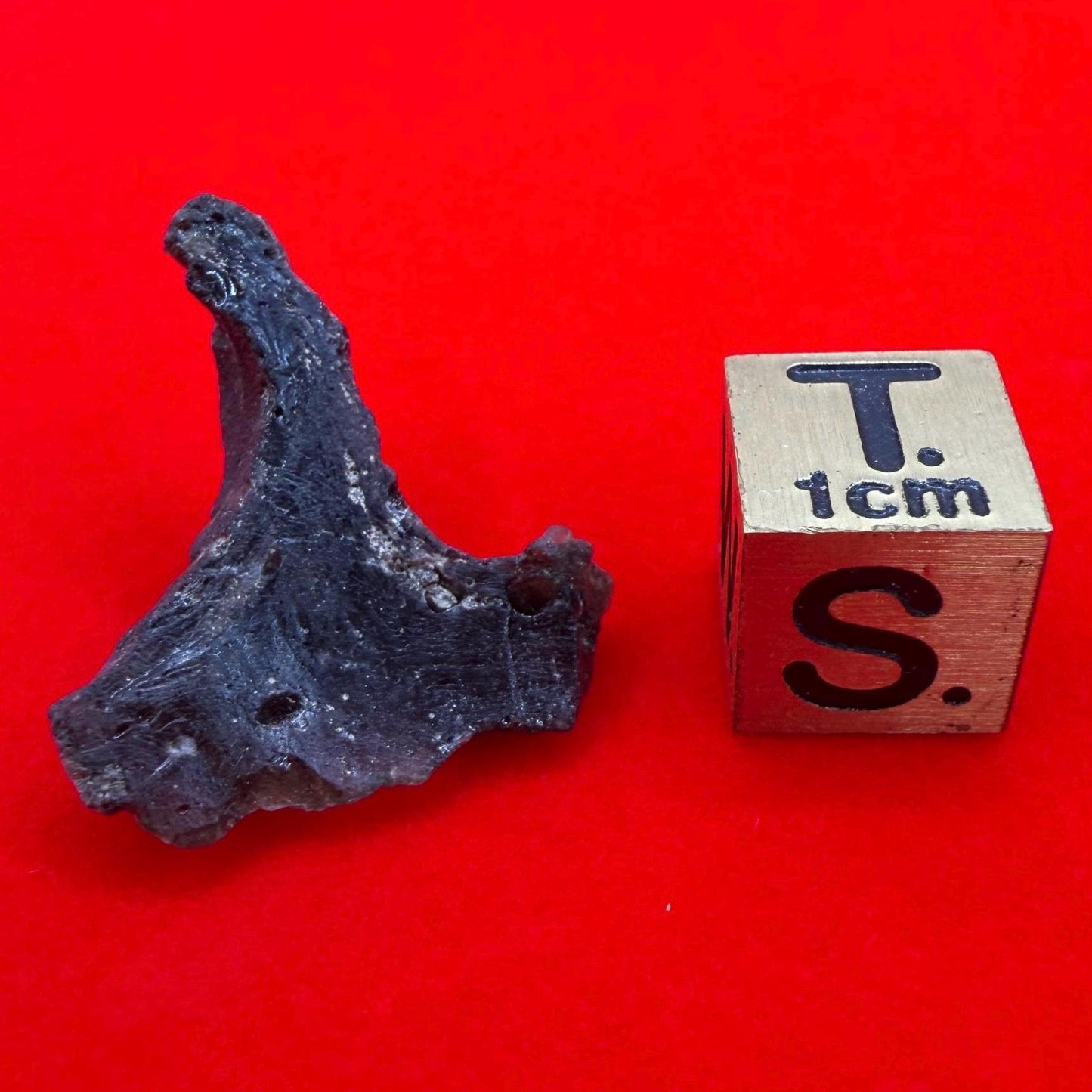 Darwinite Tektite, Rare Impact Glass from Tasmania, Cosmic Energy Stone, 1.98g