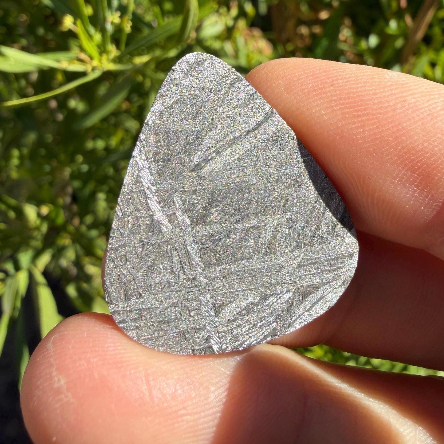 Aletai Meteorite Guitar Pick: Etched Iron, Unique Astronomy Gift, 8.08 grams