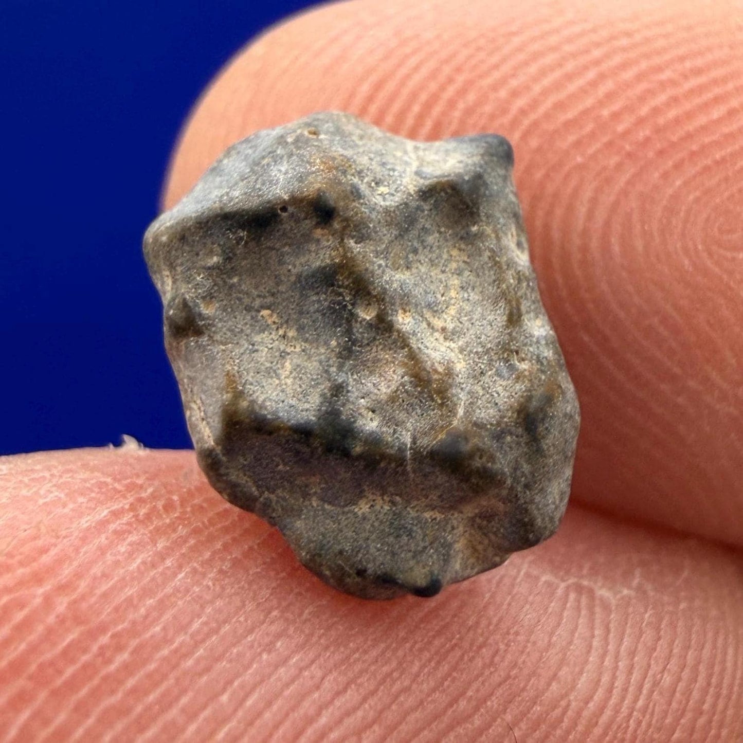 NWA 13974 Lunar Meteorite: Feldspathic Breccia Moon Rock, 0.72 grams