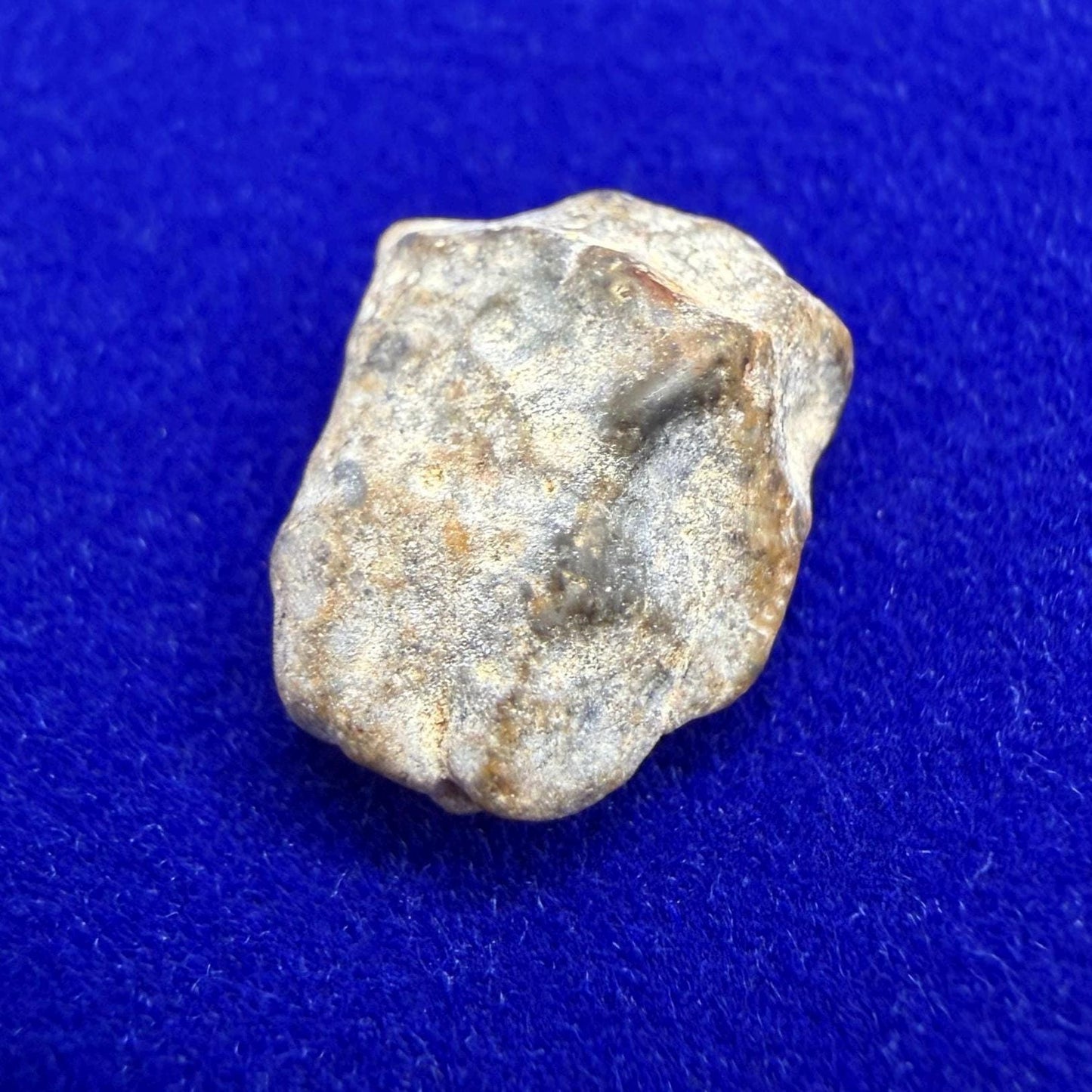 NWA 13974 Lunar Meteorite: Feldspathic Breccia Moon Rock, 0.72 grams