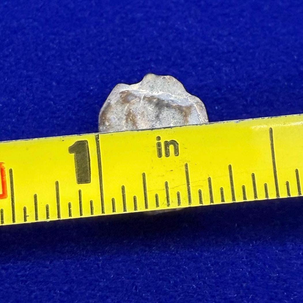 NWA 13974 Lunar Meteorite: Feldspathic Breccia Moon Rock, 0.72 grams