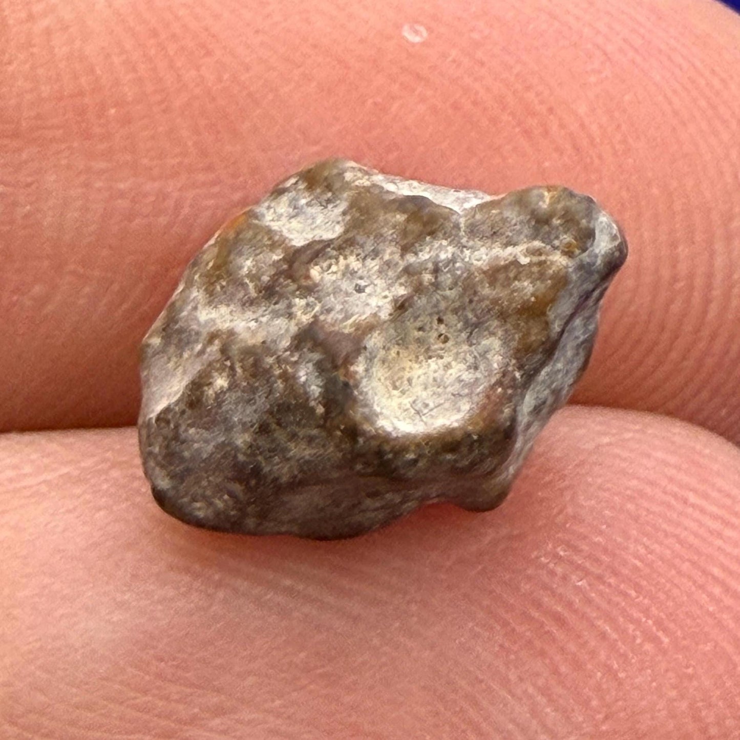 NWA 13974 Lunar Meteorite: Feldspathic Breccia Moon Rock, 0.79 grams