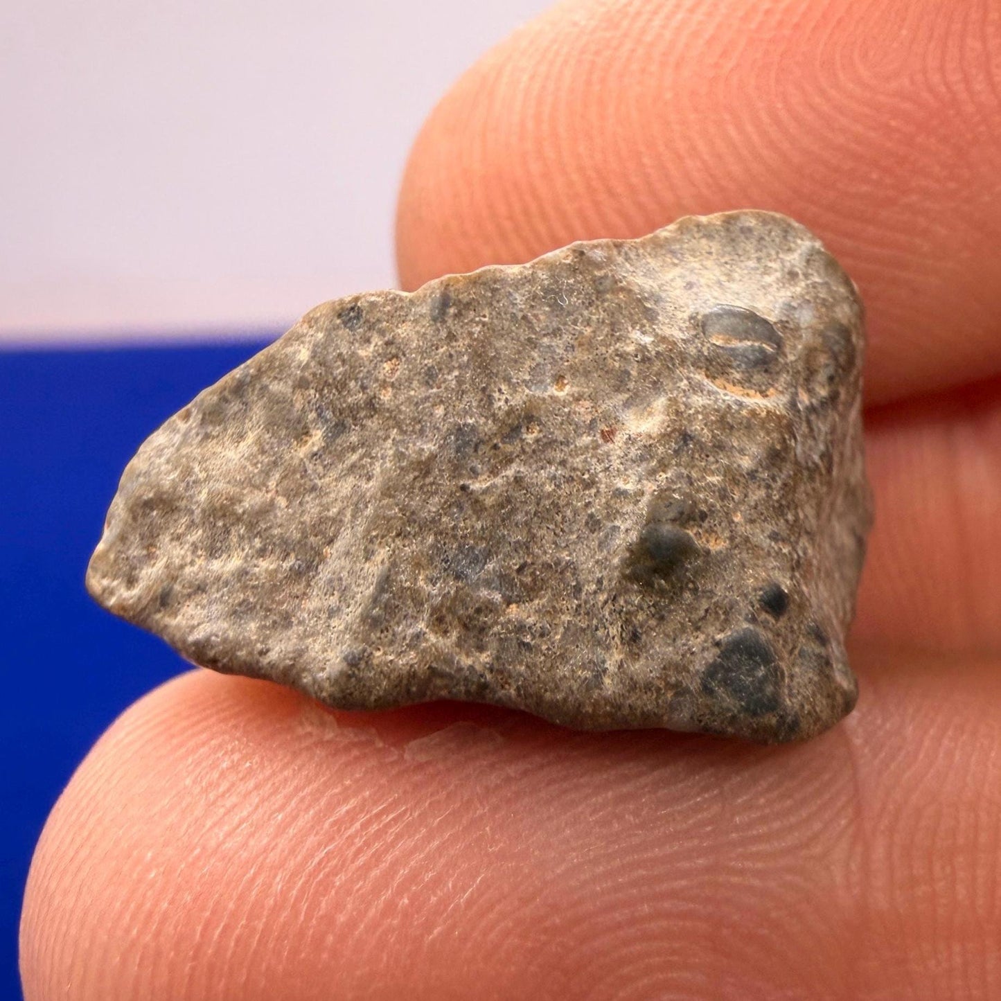 NWA 13974 Lunar Meteorite - Feldspathic Breccia, 3.33 grams