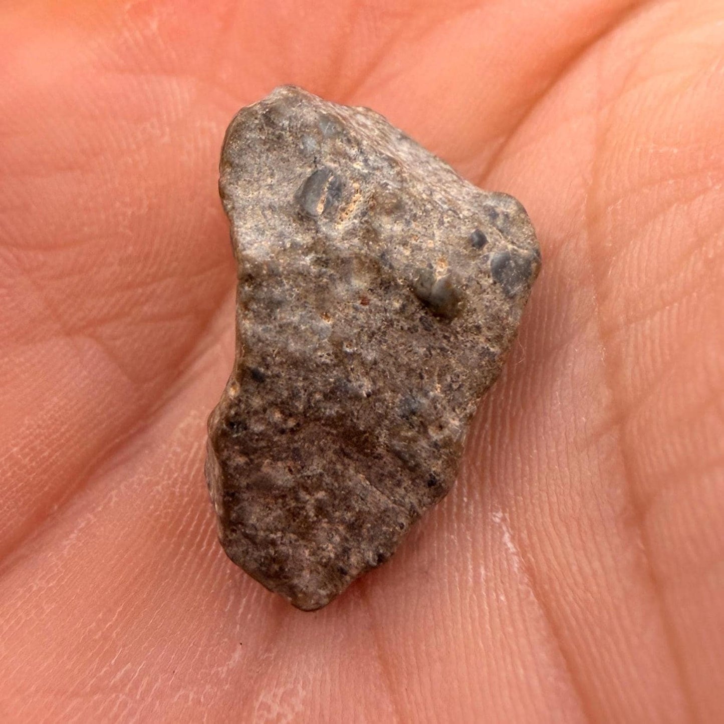NWA 13974 Lunar Meteorite - Feldspathic Breccia, 3.33 grams