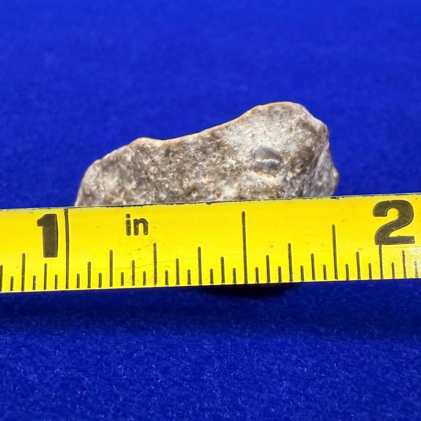 NWA 13974 Lunar Meteorite - Feldspathic Breccia, 3.33 grams