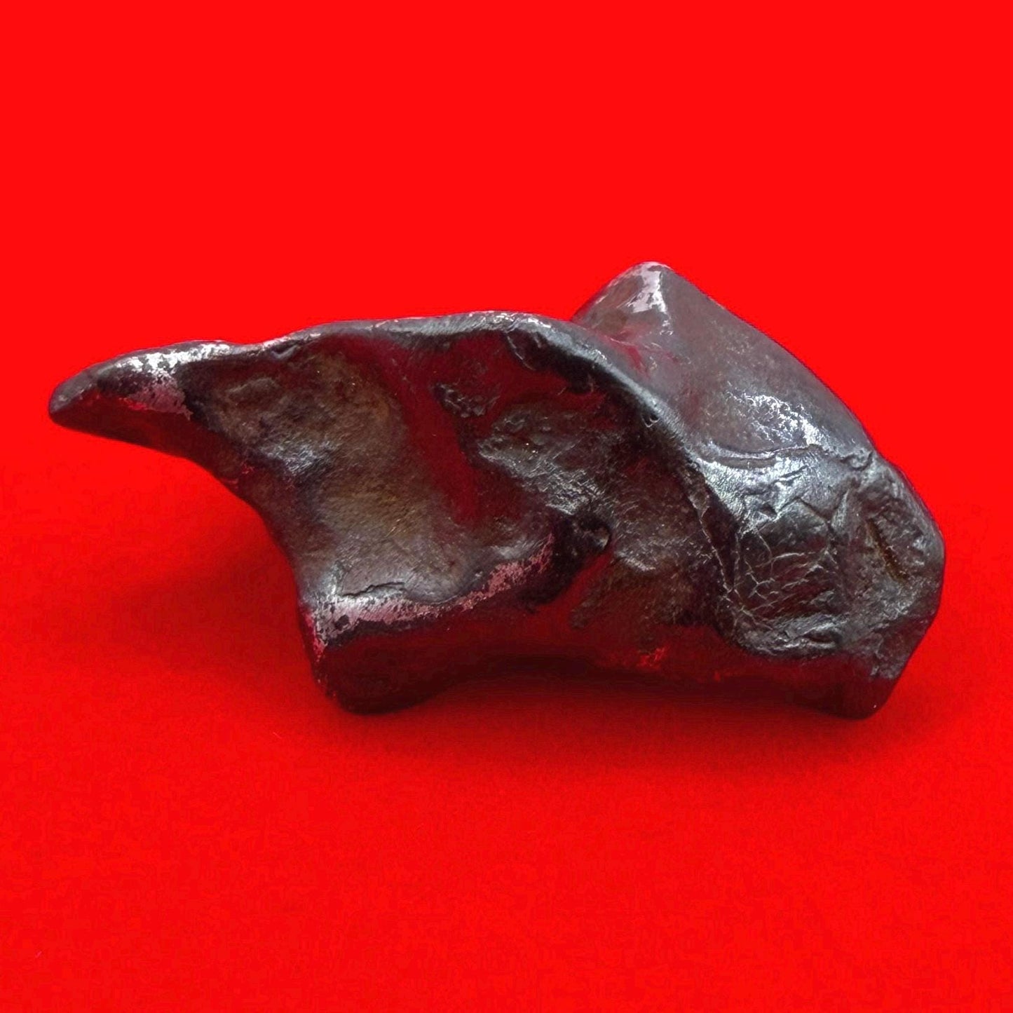 Agoudal Iron Meteorite Specimen: Thumbprint IIAB Hexahedrite, 11.69 grams