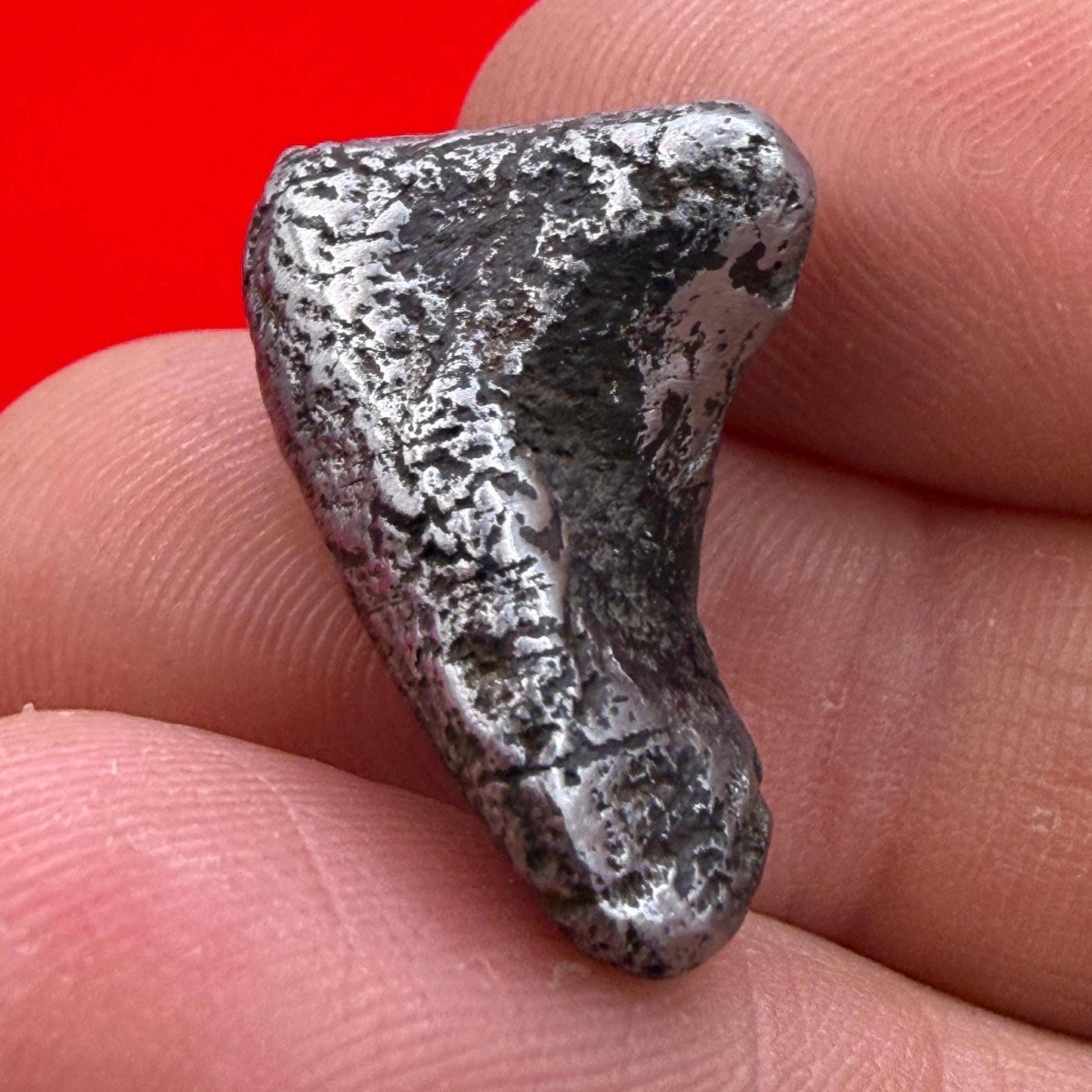 Sikhote-Alin Meteorite Specimen: Authentic Iron Meteorite, 10.08 grams