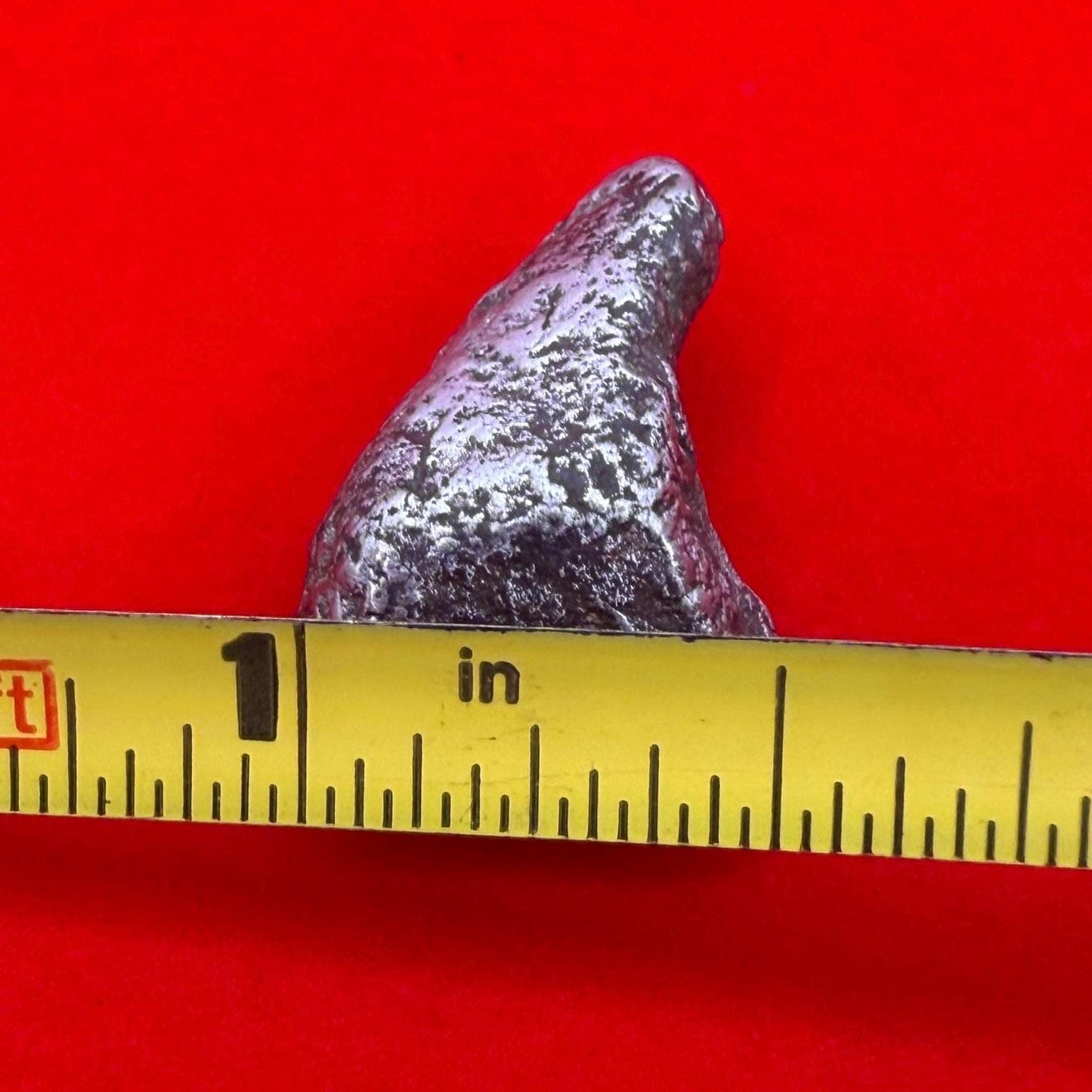 Sikhote-Alin Meteorite Specimen: Authentic Iron Meteorite, 10.08 grams