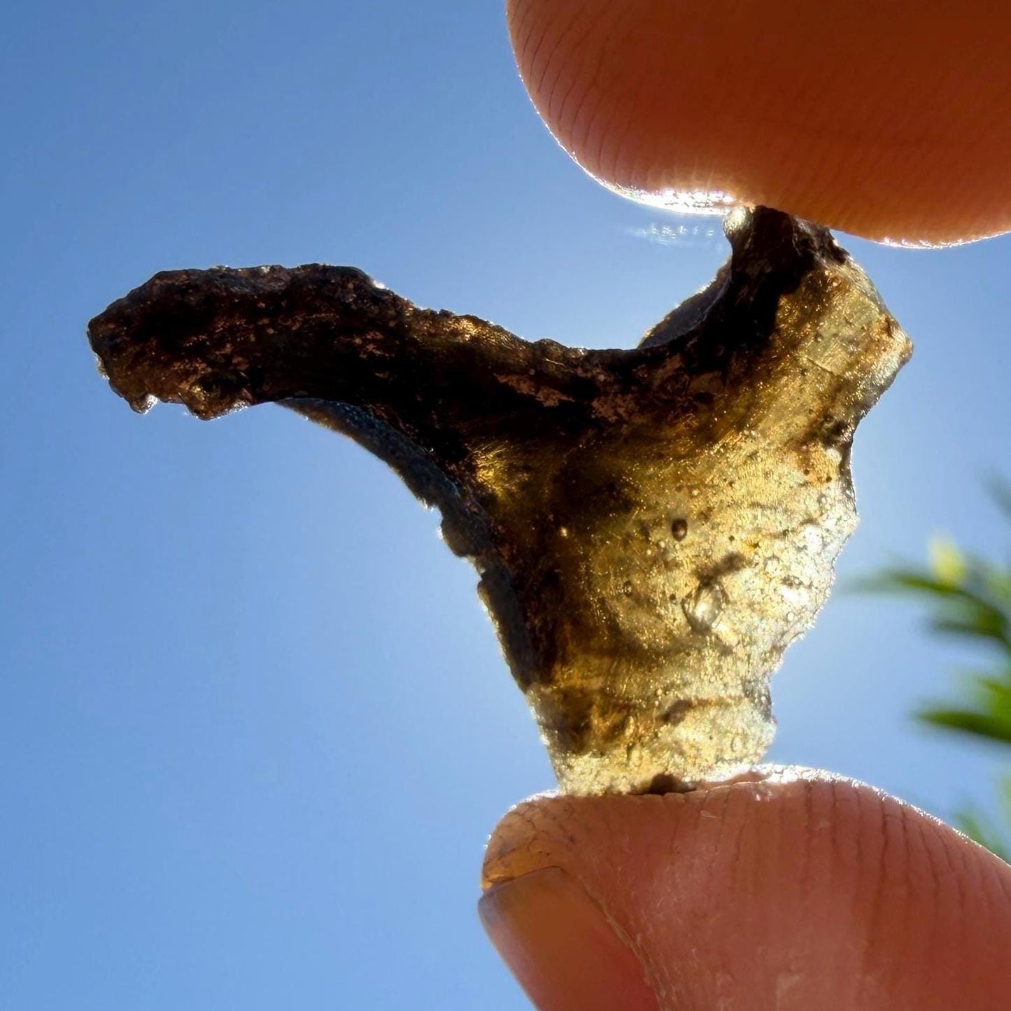 Darwinite Tektite, Rare Impact Glass from Tasmania, Cosmic Energy Stone, 1.98g