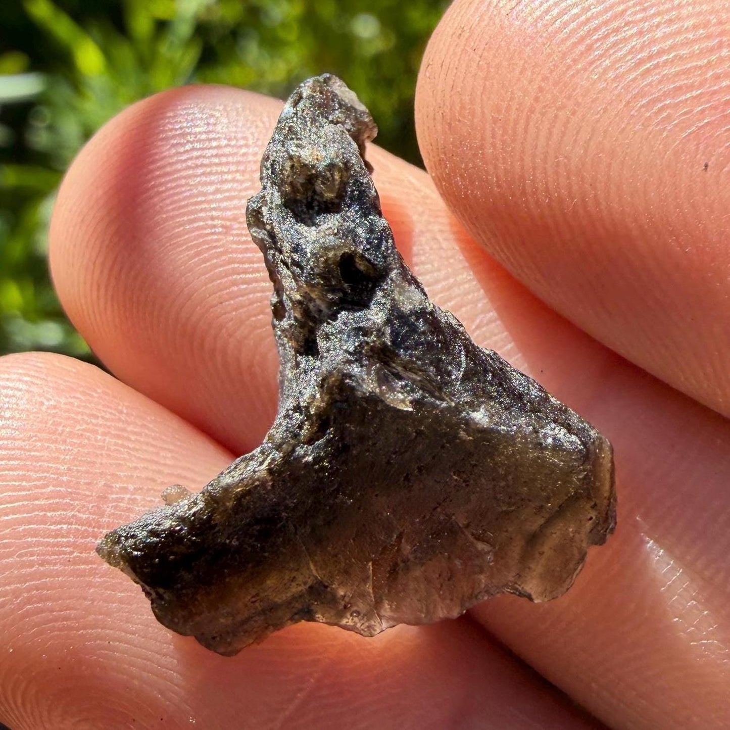 Darwinite Tektite, Rare Impact Glass from Tasmania, Cosmic Energy Stone, 1.98g