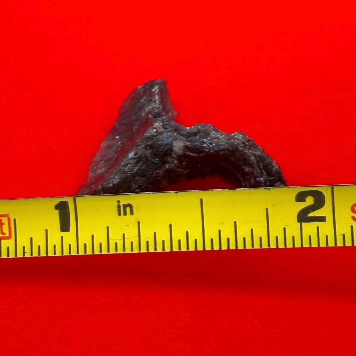 Darwinite Tektite, Rare Impact Glass from Tasmania, Cosmic Energy Stone, 1.98g