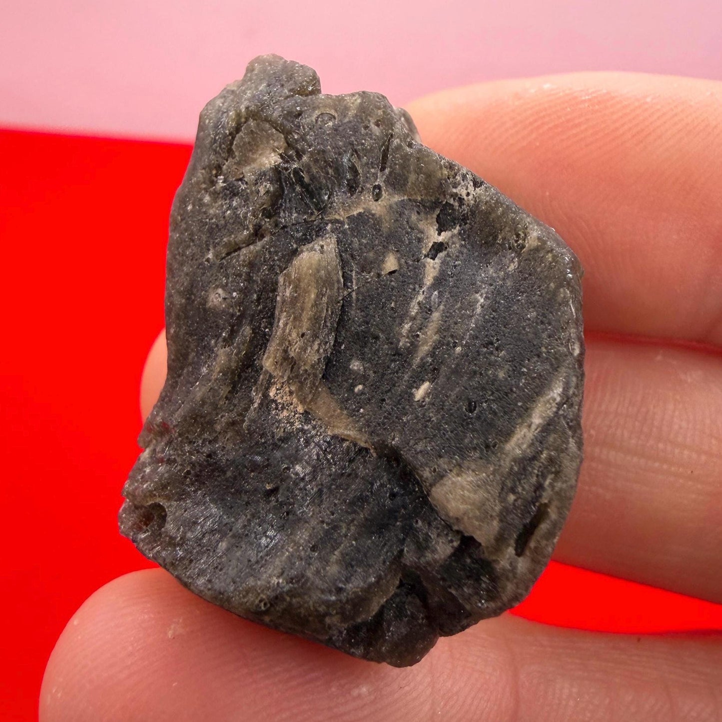 Darwin Glass Tektite: Tasmanian Impactite Talisman, 11.41g