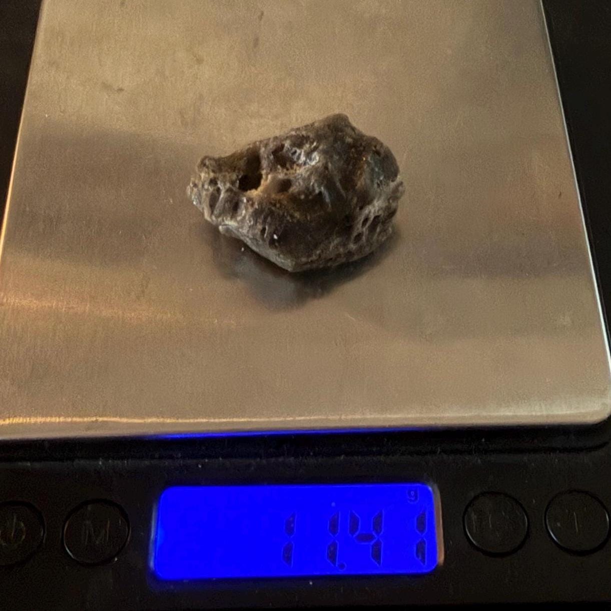 Darwin Glass Tektite: Tasmanian Impactite Talisman, 11.41g