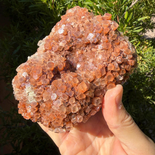 Beautiful Top Grade Aragonite Crystal, Aragonite, Aragonite Star Cluster, Confidence, Emotional Healing, Crystal, 1 lb 12.1 ounces