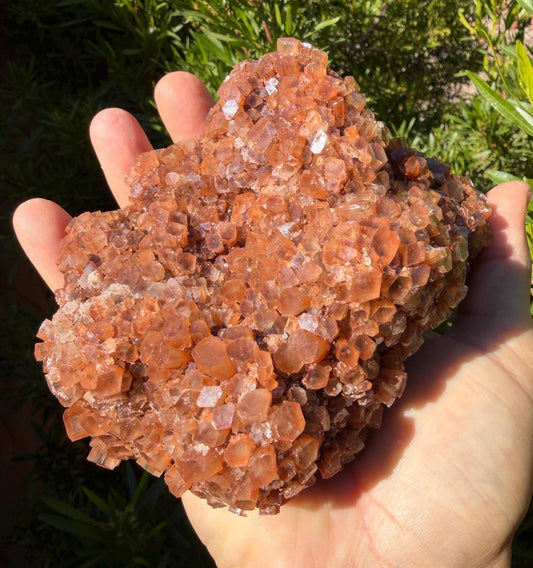 Beautiful Top Grade Aragonite Crystal, Aragonite, Aragonite Star Cluster, Confidence, Emotional Healing, Crystal, 2 lb 0.2 ounces
