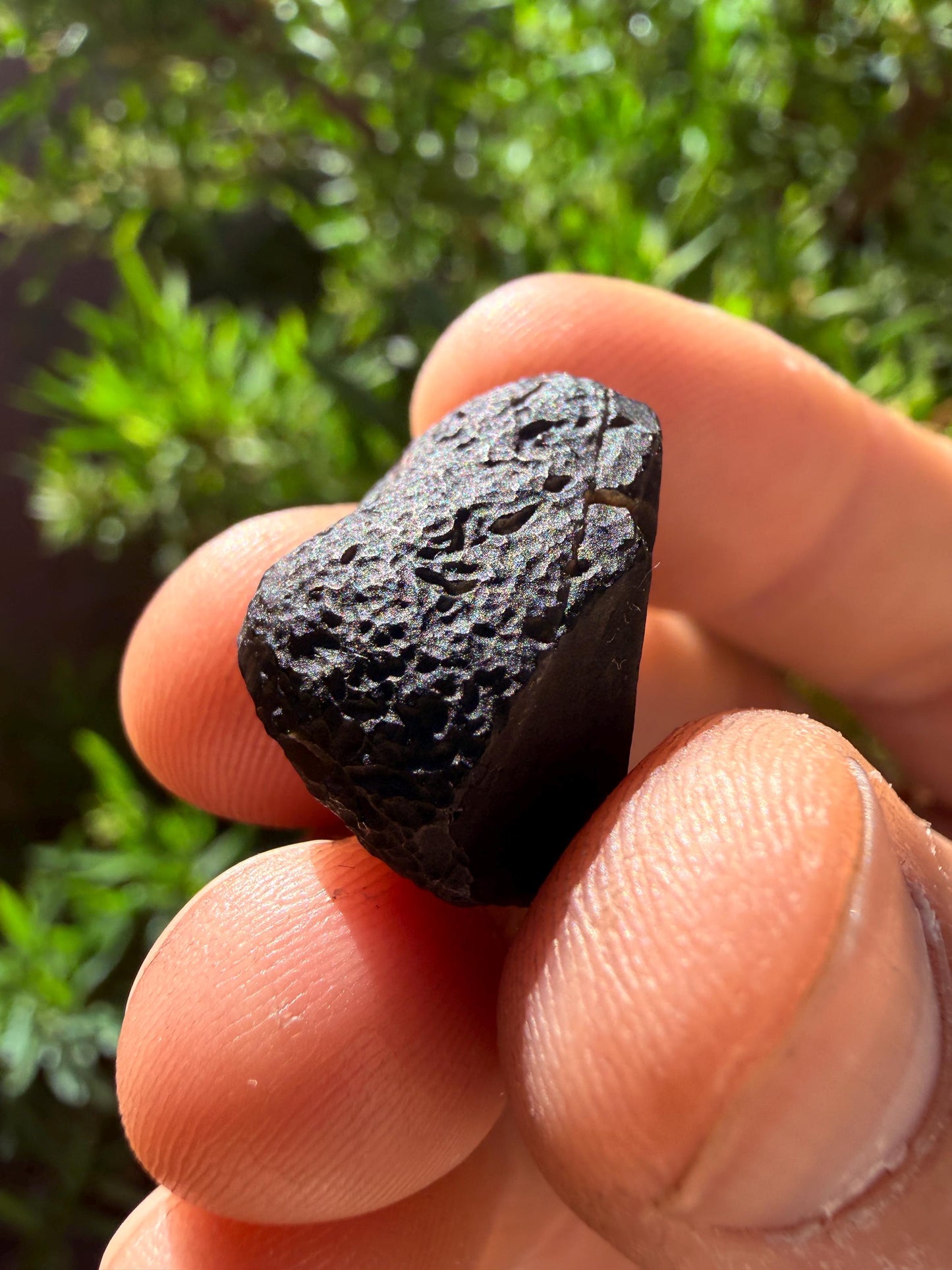 Saffordite Cintamani Stone Specimen: Rare Arizona Pseudo-Tektite, 5.85 grams