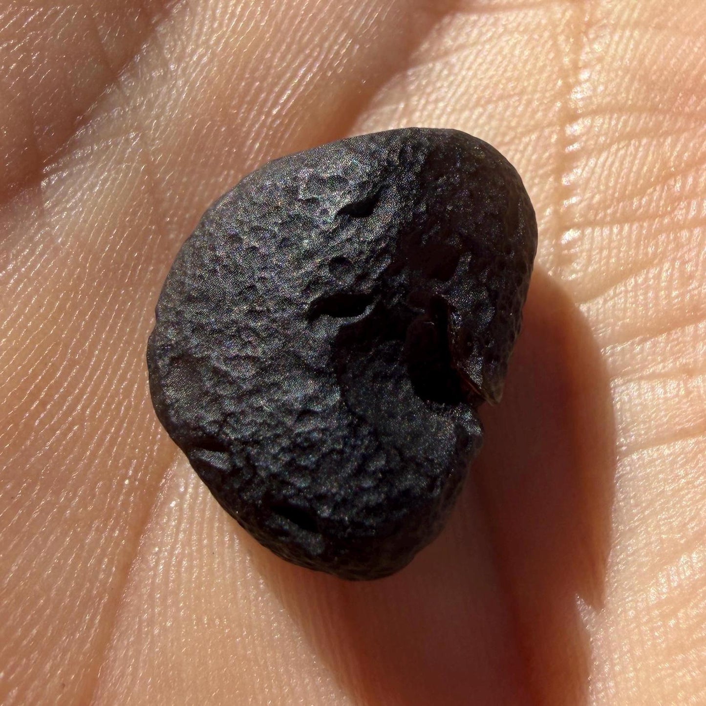 Saffordite Cintamani Stone Specimen: Rare Arizona Pseudo-Tektite, 3.24 grams