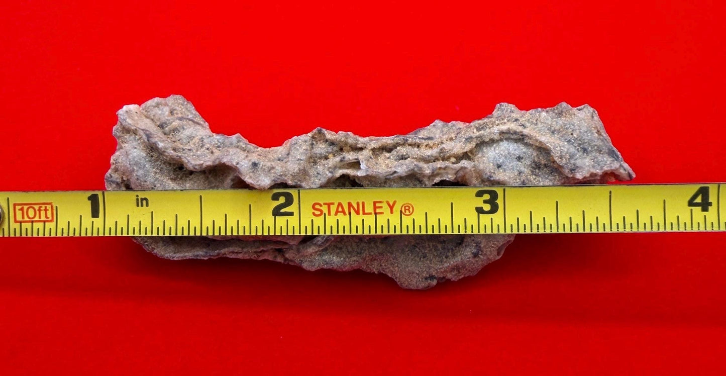 Sahara Desert Fulgurite: Fossilized Lightning Rock, Energy Work, 14.53 grams