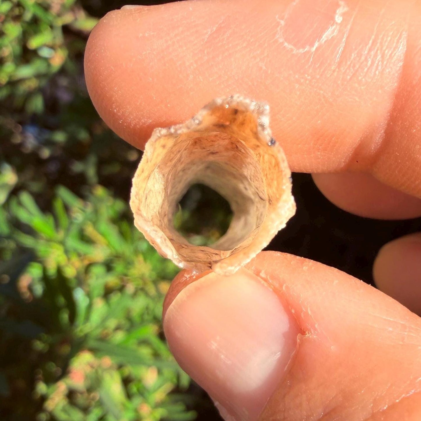 Sahara Desert Fulgurite: Fossilized Lightning Rock, Energy Work, 1.85 grams