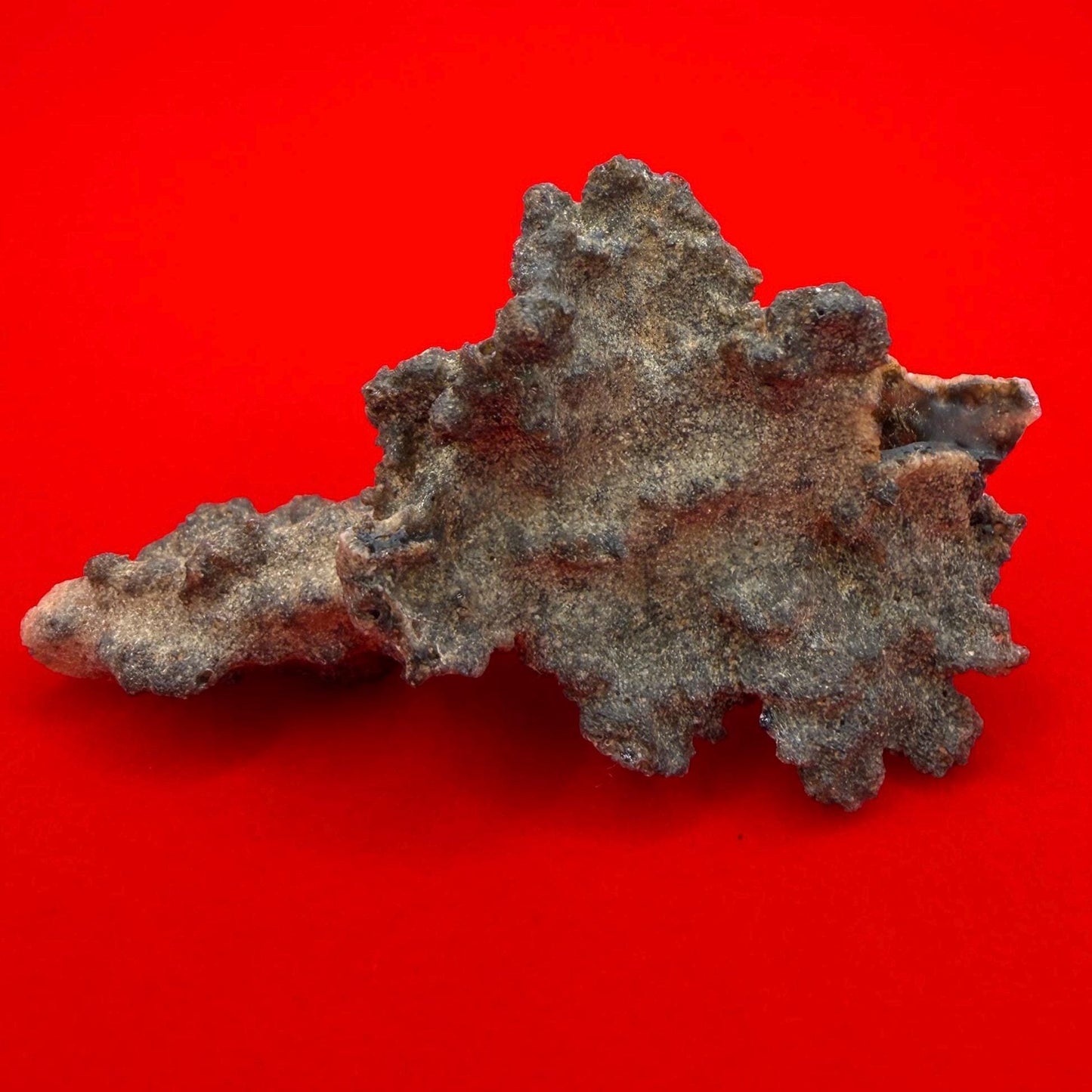 Sahara Desert Fulgurite: Fossilized Lightning Rock, Energy Work, 5.88 grams