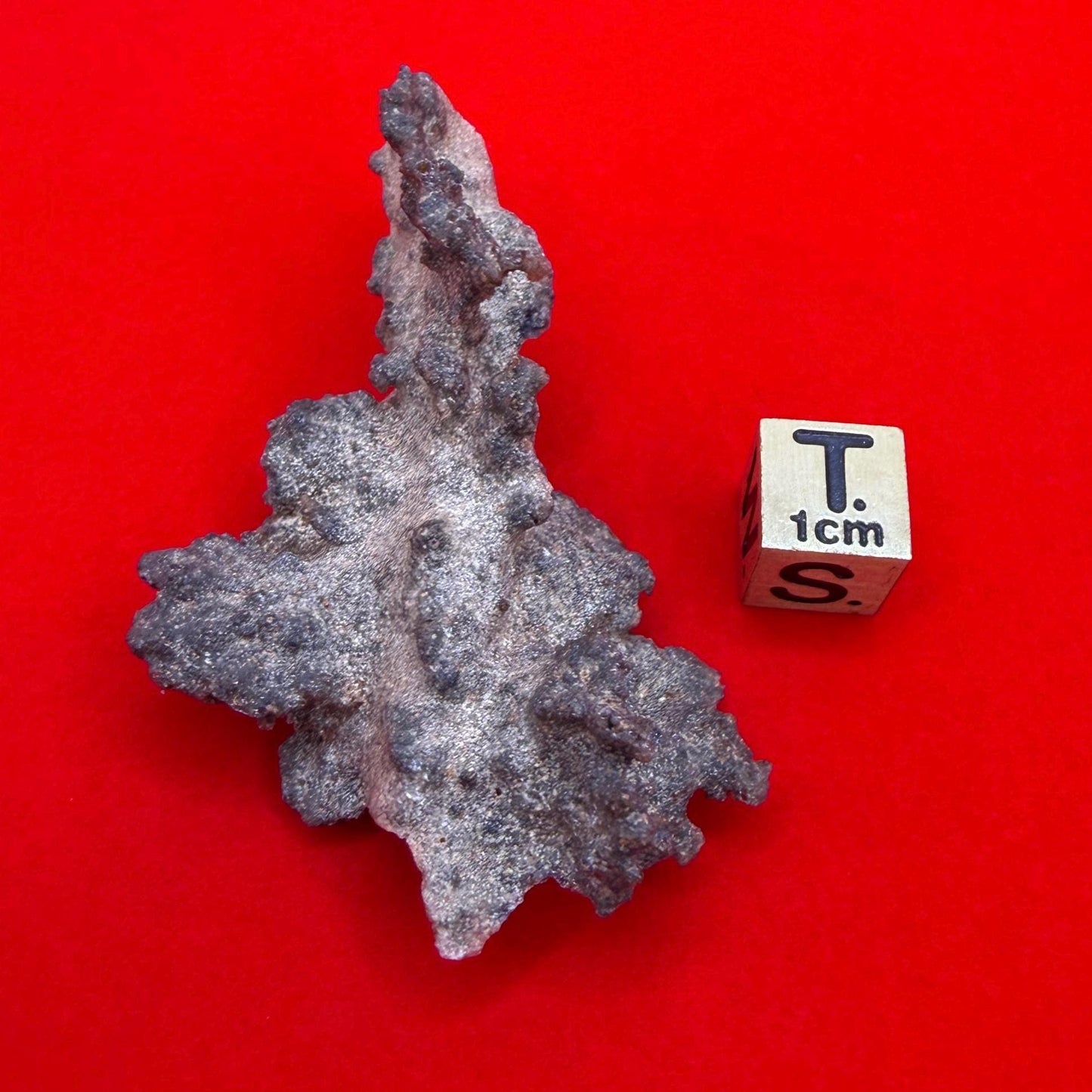 Sahara Desert Fulgurite: Fossilized Lightning Rock, Energy Work, 5.88 grams