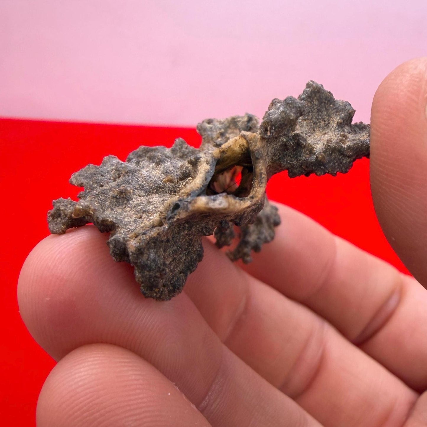 Sahara Desert Fulgurite: Fossilized Lightning Rock, Energy Work, 5.88 grams
