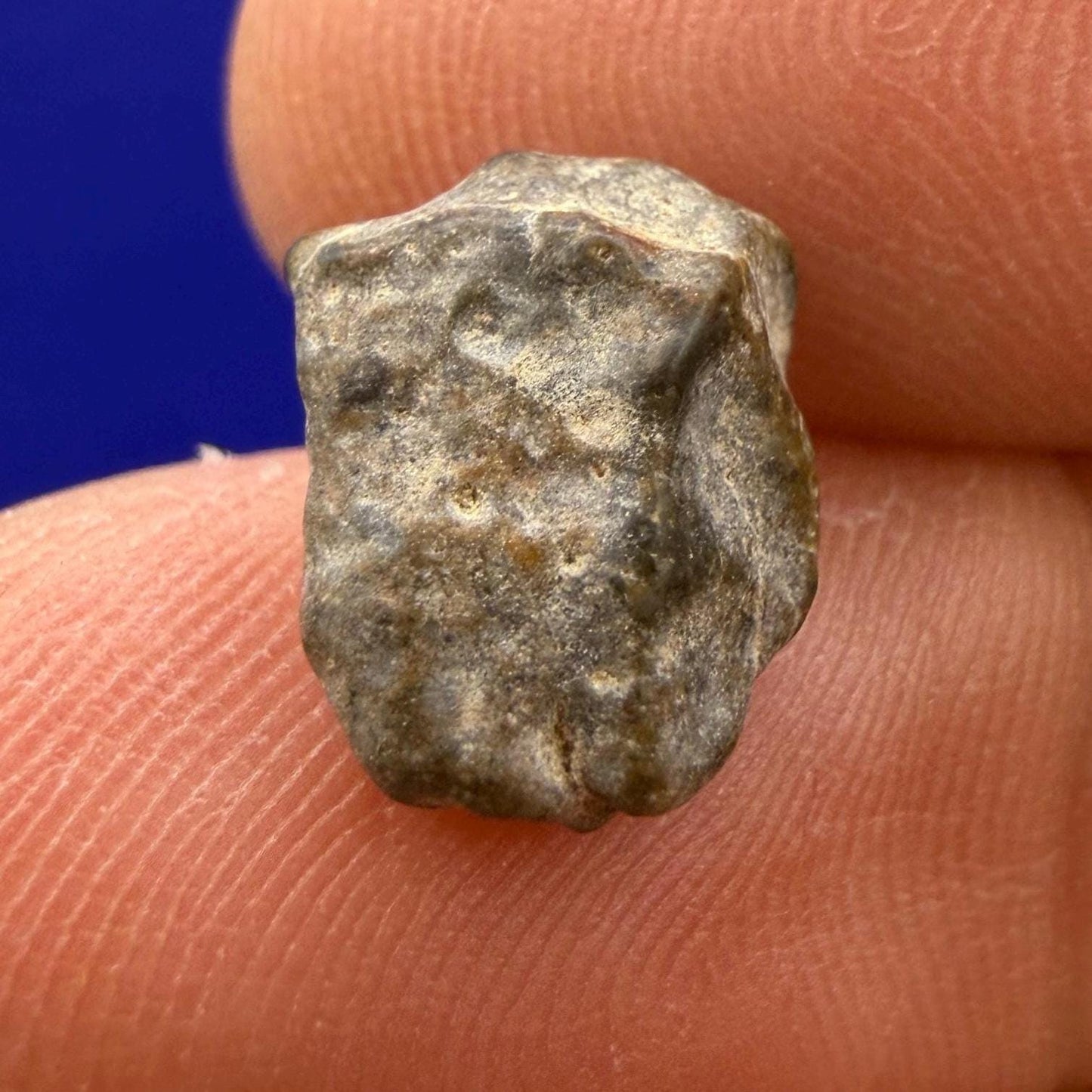 NWA 13974 Lunar Meteorite: Feldspathic Breccia Moon Rock, 0.72 grams