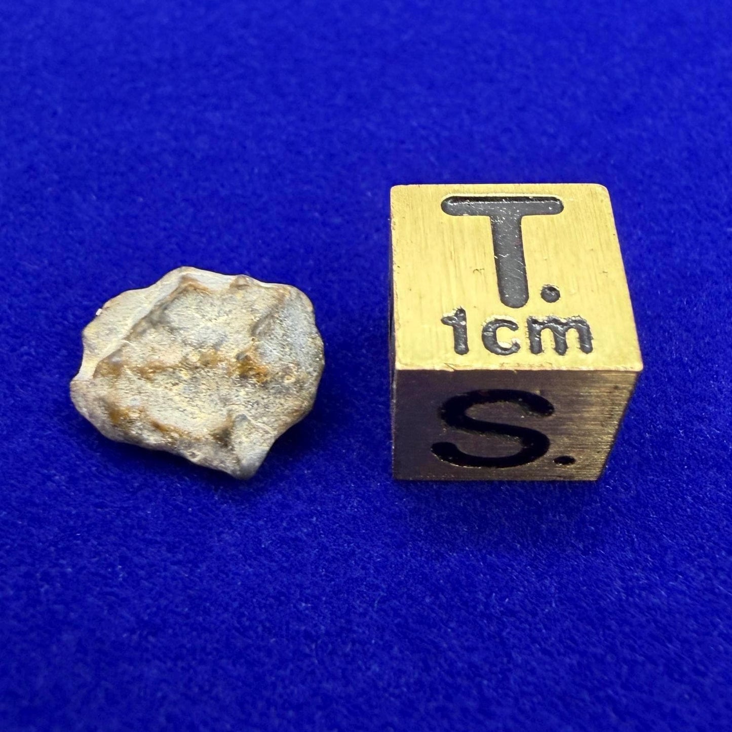 NWA 13974 Lunar Meteorite: Feldspathic Breccia Moon Rock, 0.72 grams