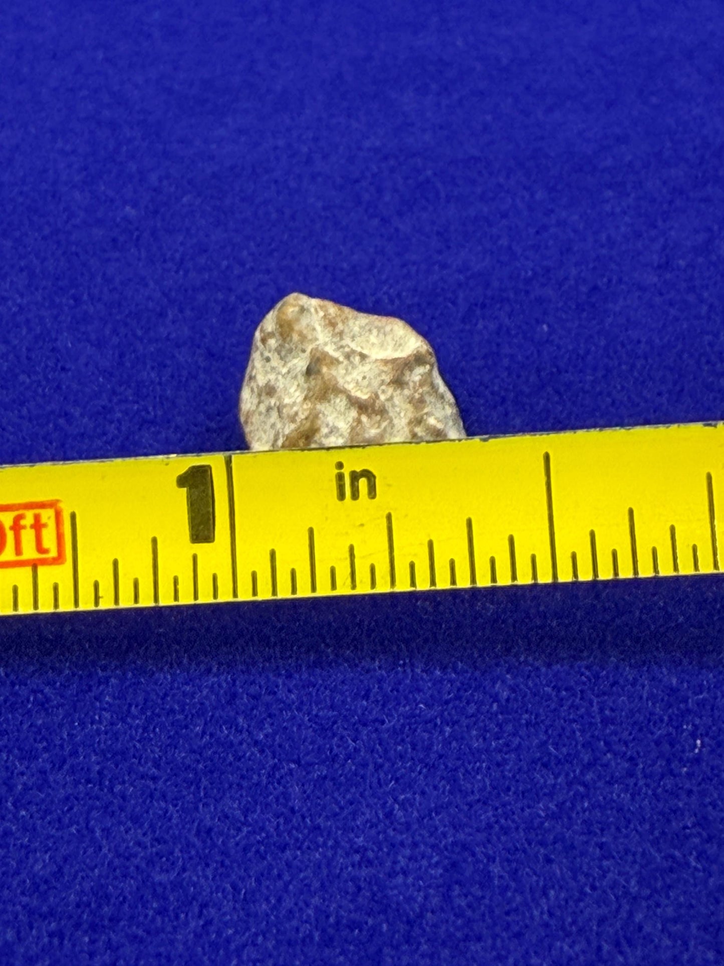 NWA 13974 Lunar Meteorite: Feldspathic Breccia Moon Rock, 0.79 grams