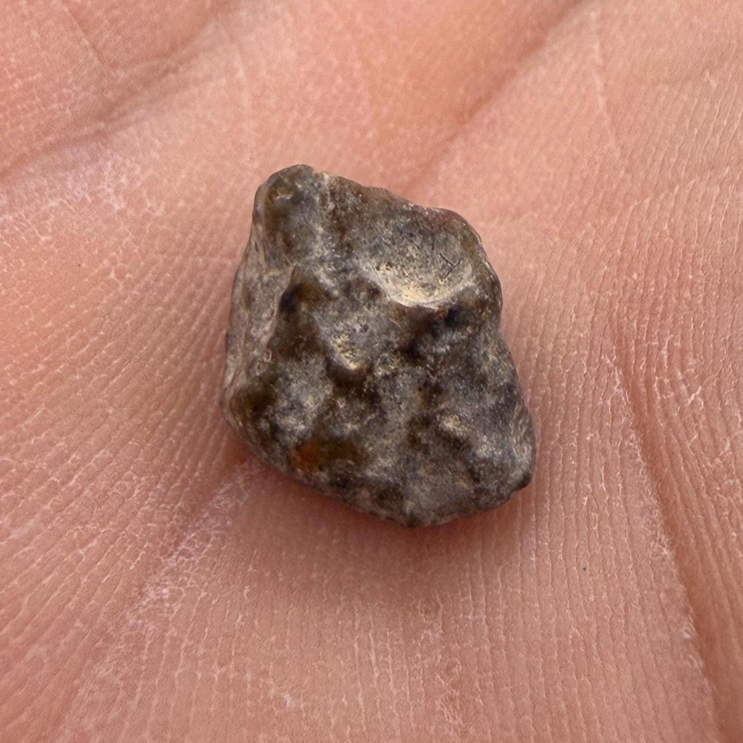 NWA 13974 Lunar Meteorite: Feldspathic Breccia Moon Rock, 0.79 grams