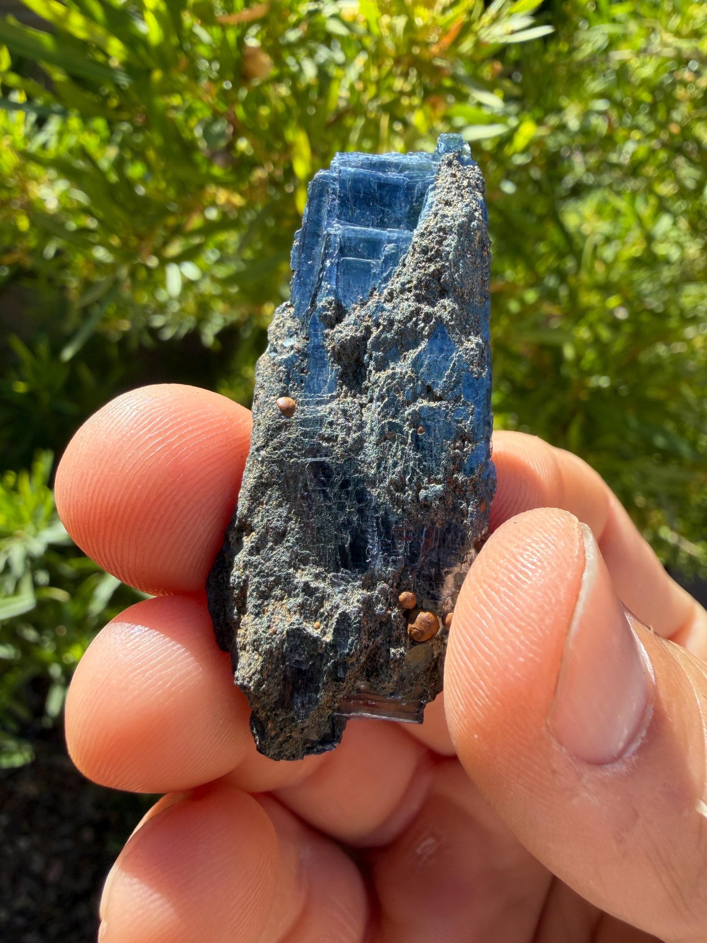 Rare Brazilian Vivianite Crystal, Reiki Healing Stone, 9.55 grams