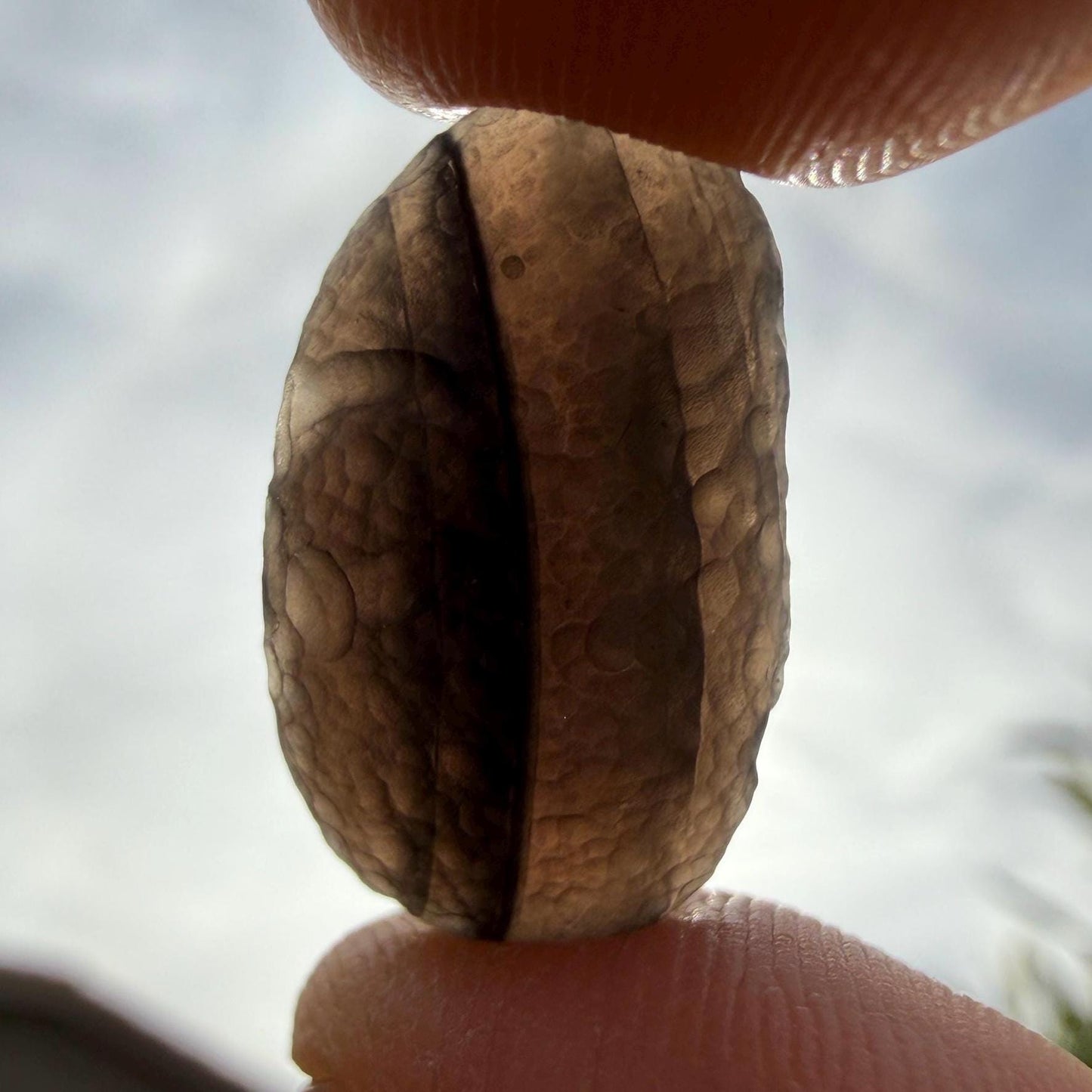 Saffordite Stone: Rare Arizona Cintamani - Metaphysical Shamanic Crystal, 3.16 grams