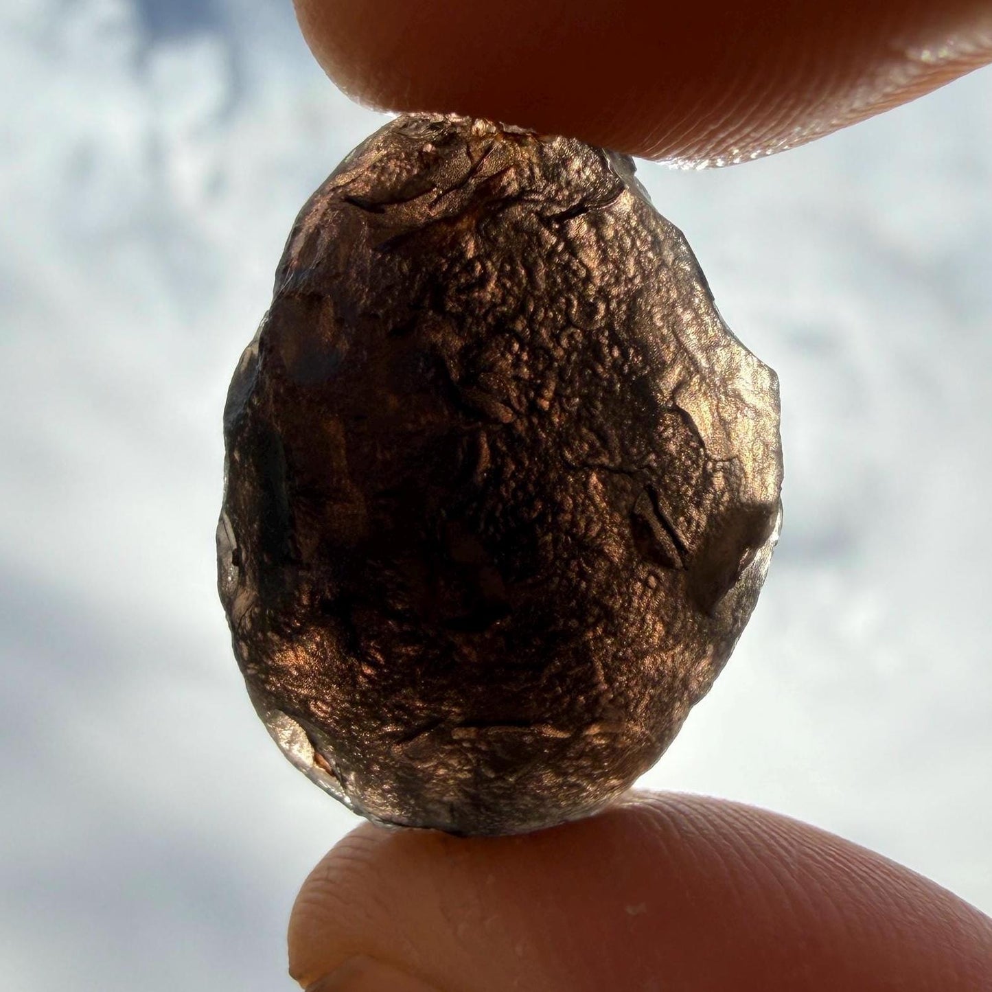 Saffordite Cintamani Stone Specimen: Rare Arizona Pseudo-Tektite, 7.49 grams