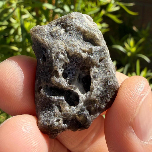 Darwin Glass Tektite: Tasmanian Impactite Talisman, 11.41g