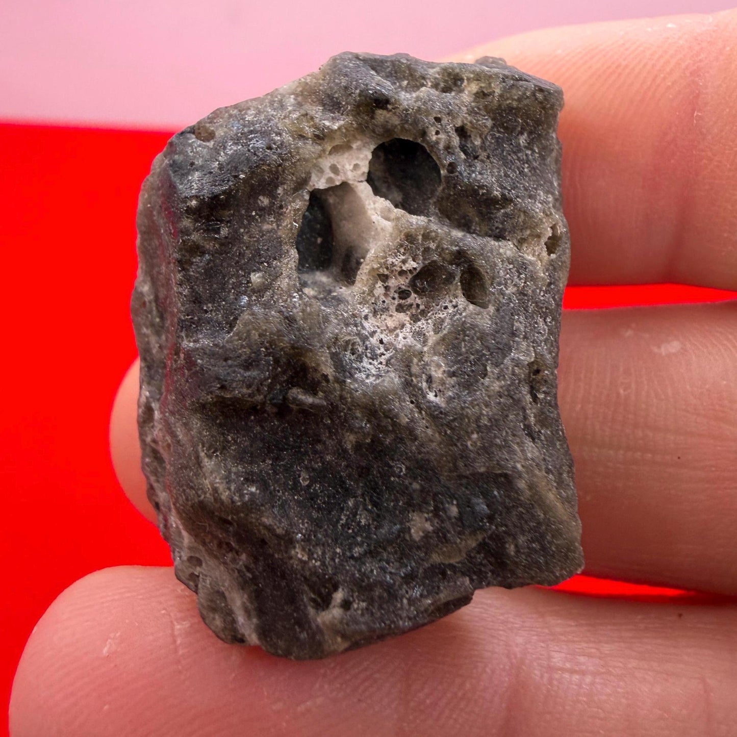Darwin Glass Tektite: Tasmanian Impactite Talisman, 11.41g
