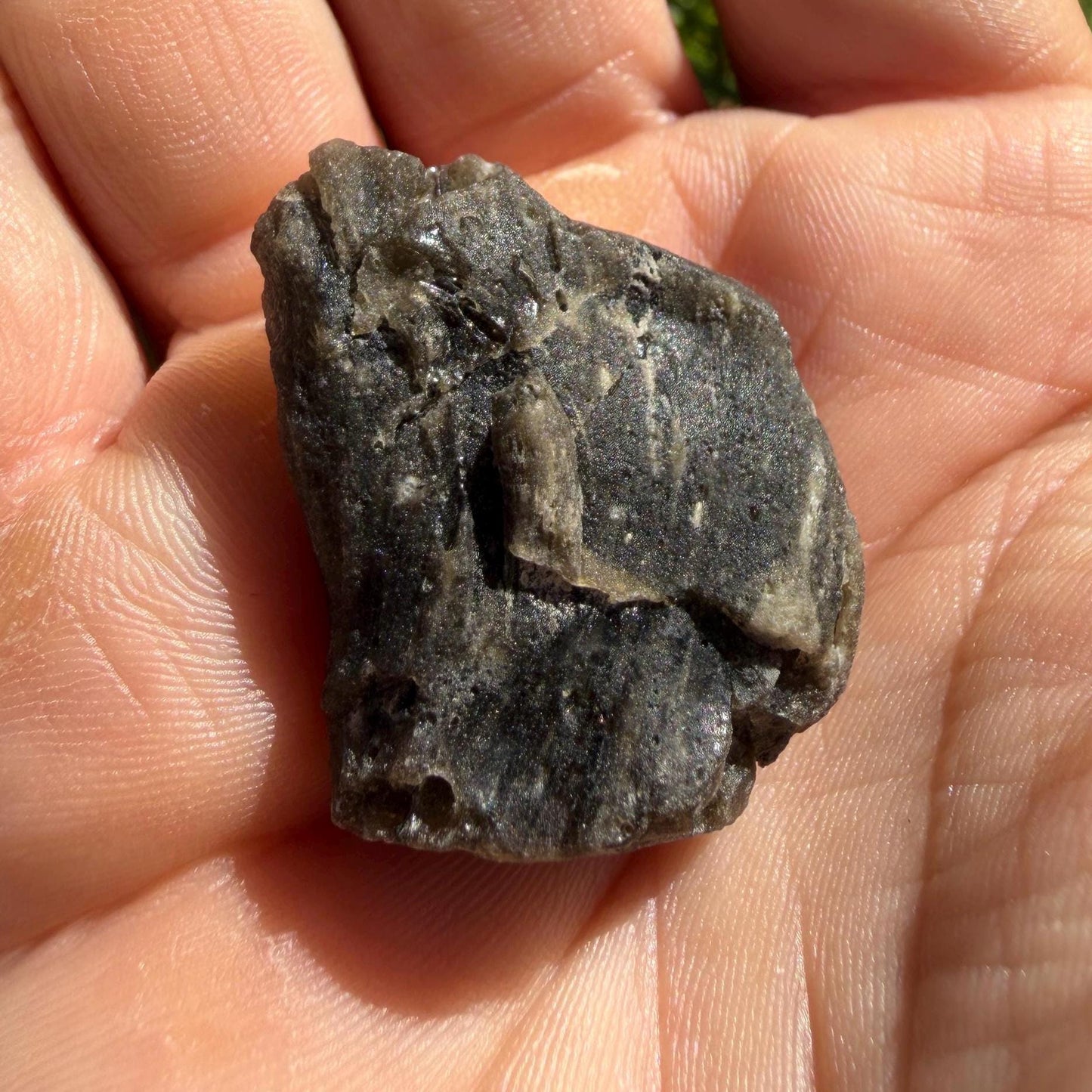 Darwin Glass Tektite: Tasmanian Impactite Talisman, 11.41g