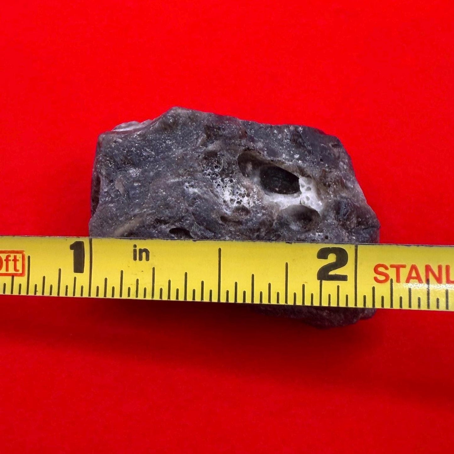 Darwin Glass Tektite: Tasmanian Impactite Talisman, 11.41g