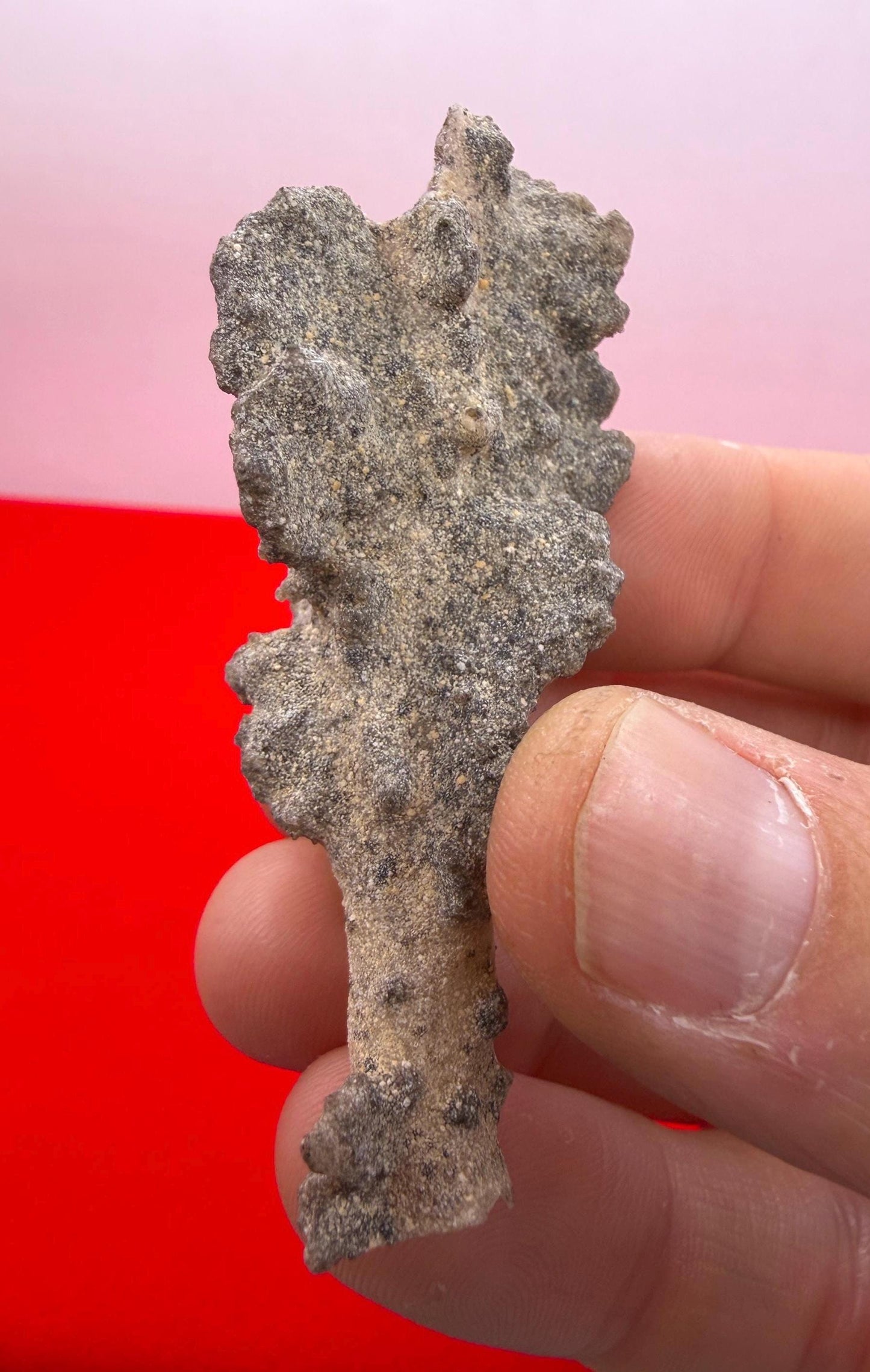 Fulgerite from Egypt, Fossilized Lighting, Sahara Desert, Rock Collection, Energy Work, Reiki, Manifestation, Science Gift, 4.87 grams