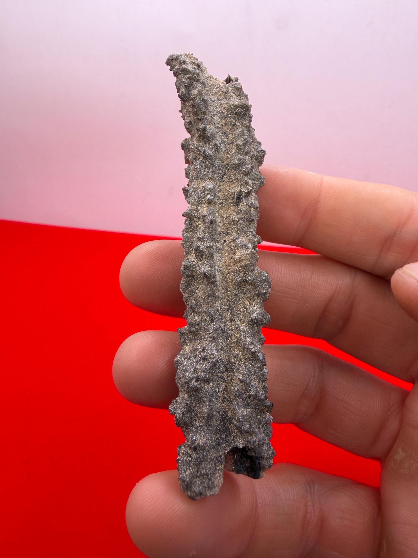 Sahara Desert Fulgurite: Fossilized Lightning Rock, Energy Work, 7.18 grams