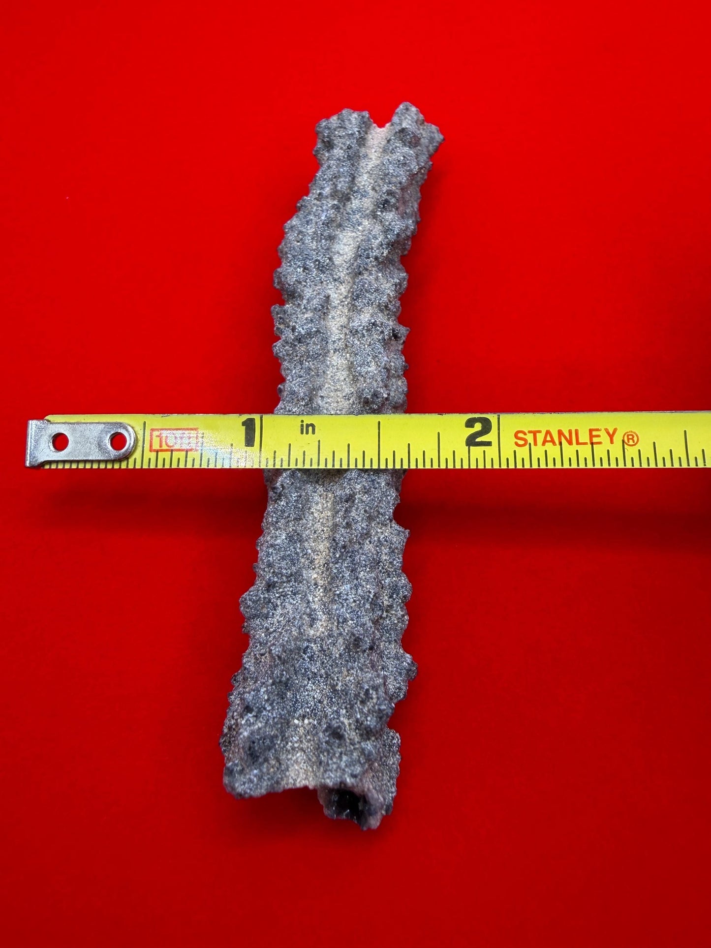 Sahara Desert Fulgurite: Fossilized Lightning Rock, Energy Work, 7.18 grams