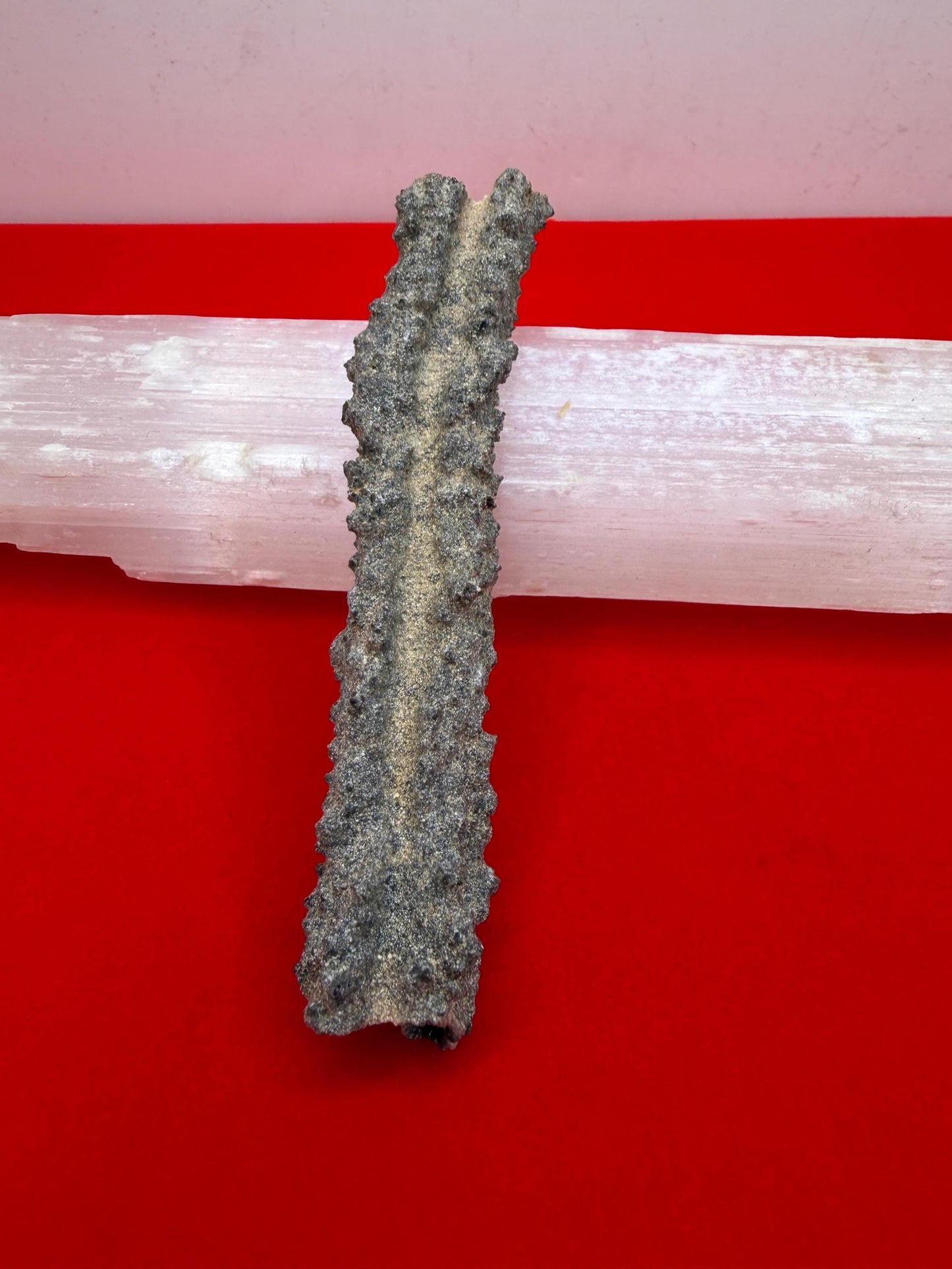 Sahara Desert Fulgurite: Fossilized Lightning Rock, Energy Work, 7.18 grams