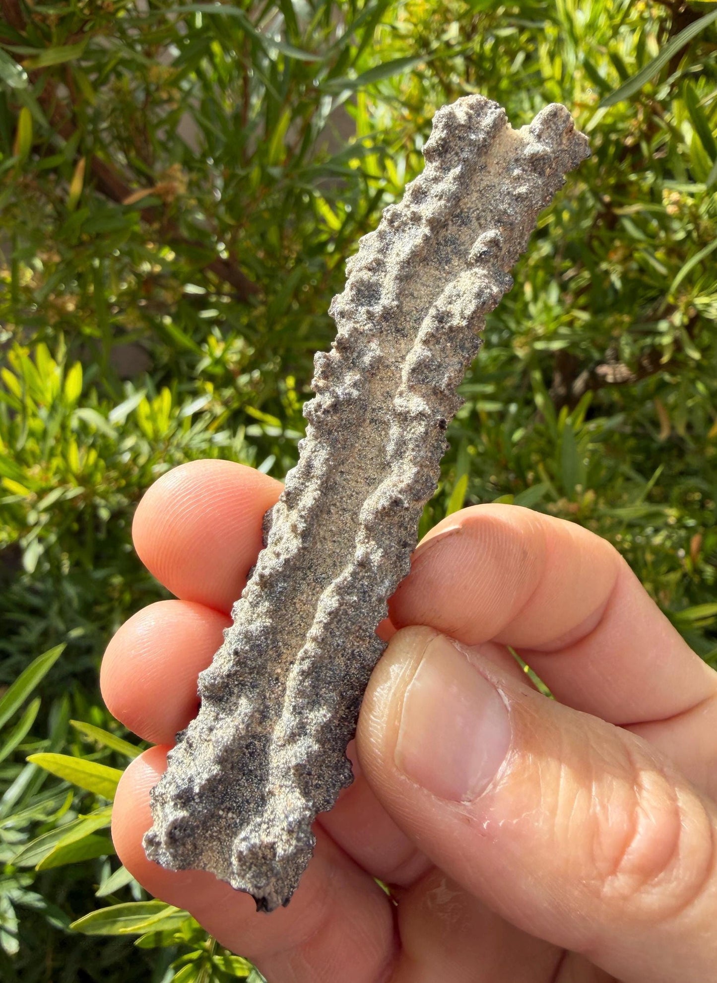 Sahara Desert Fulgurite: Fossilized Lightning Rock, Energy Work, 7.18 grams
