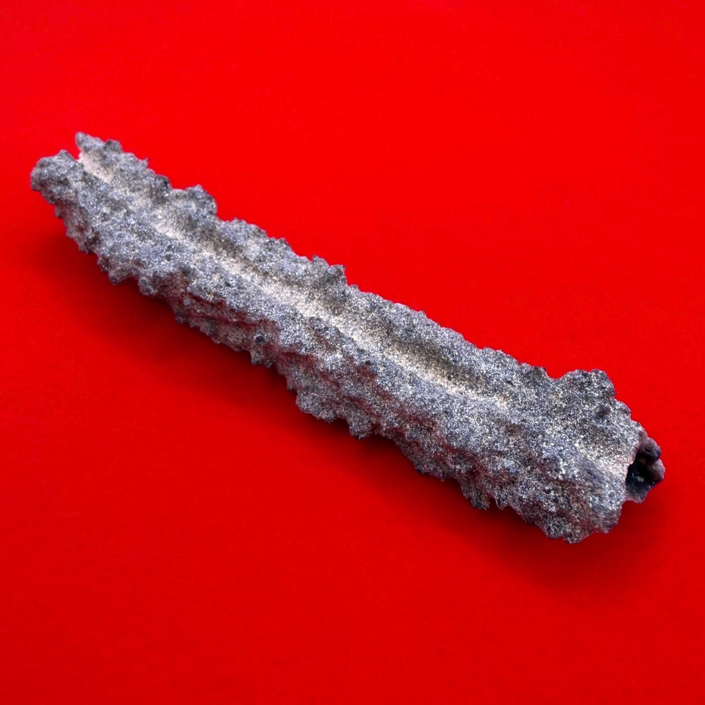 Sahara Desert Fulgurite: Fossilized Lightning Rock, Energy Work, 7.18 grams
