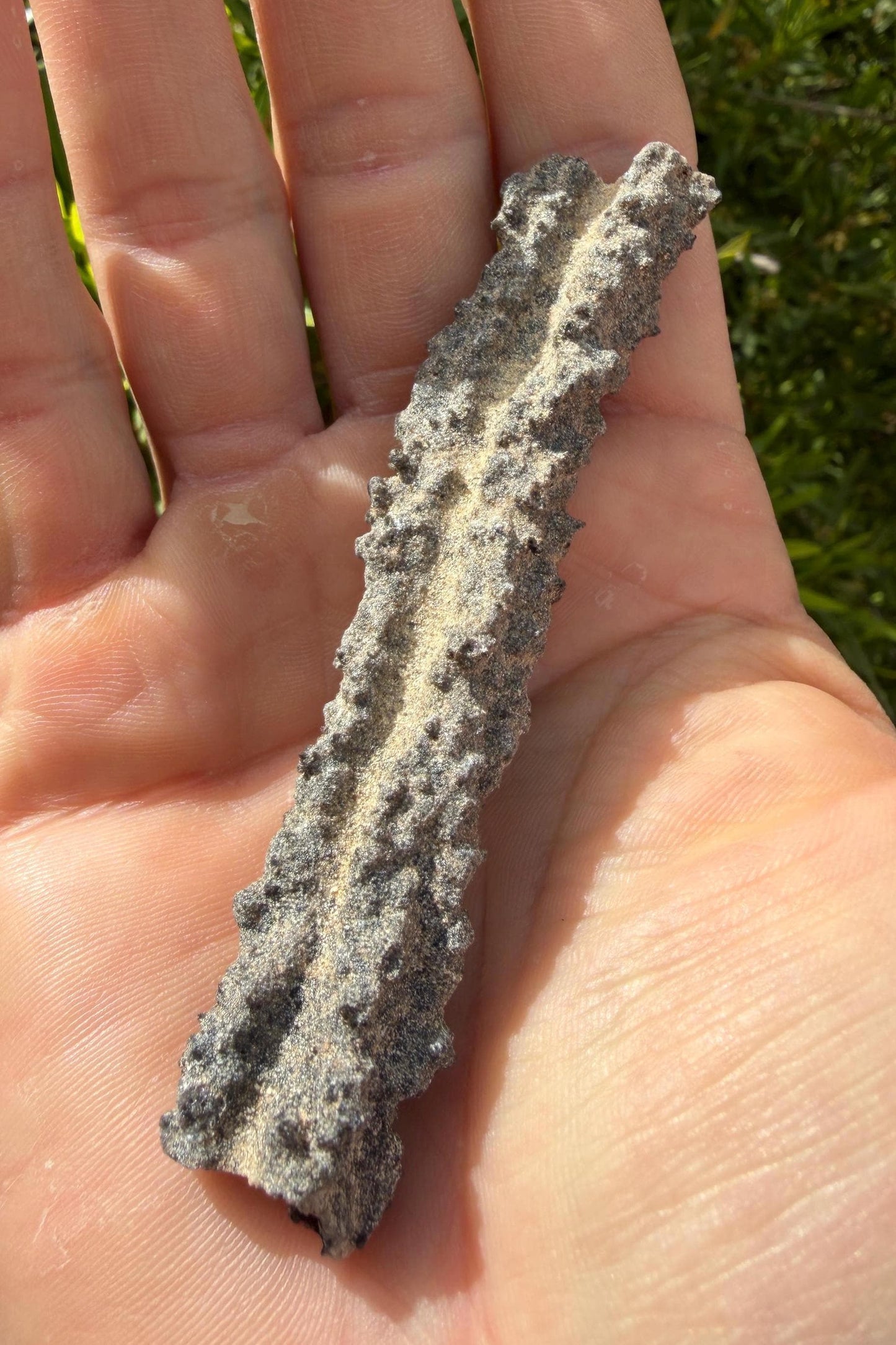 Sahara Desert Fulgurite: Fossilized Lightning Rock, Energy Work, 7.18 grams