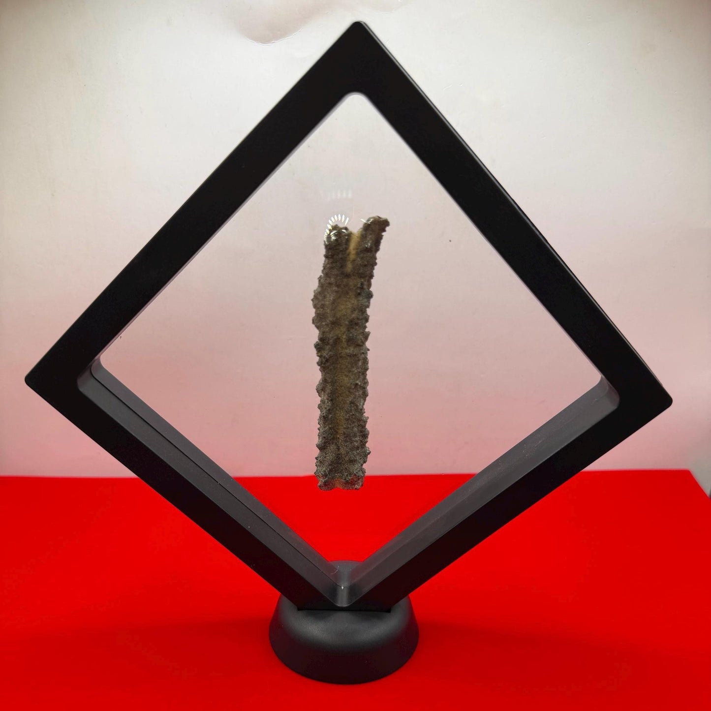 Sahara Desert Fulgurite: Fossilized Lightning Rock, Energy Work, 7.18 grams