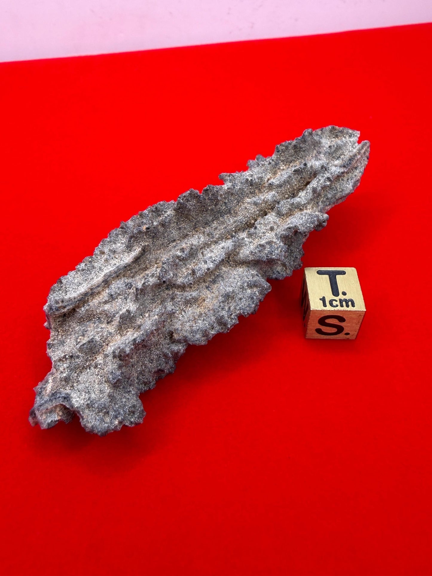 Sahara Desert Fulgurite: Fossilized Lightning Rock, Energy Work, 10.61 grams