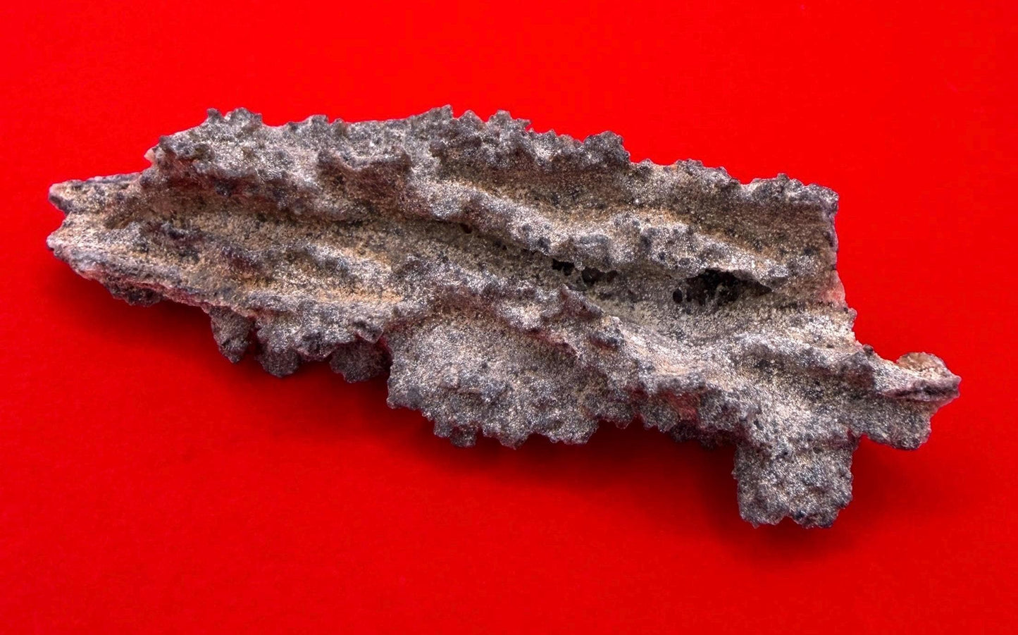 Sahara Desert Fulgurite: Fossilized Lightning Rock, Energy Work, 10.61 grams