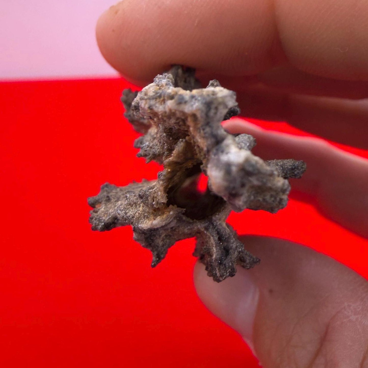 Sahara Desert Fulgurite: Fossilized Lightning Rock, Energy Work, 10.61 grams