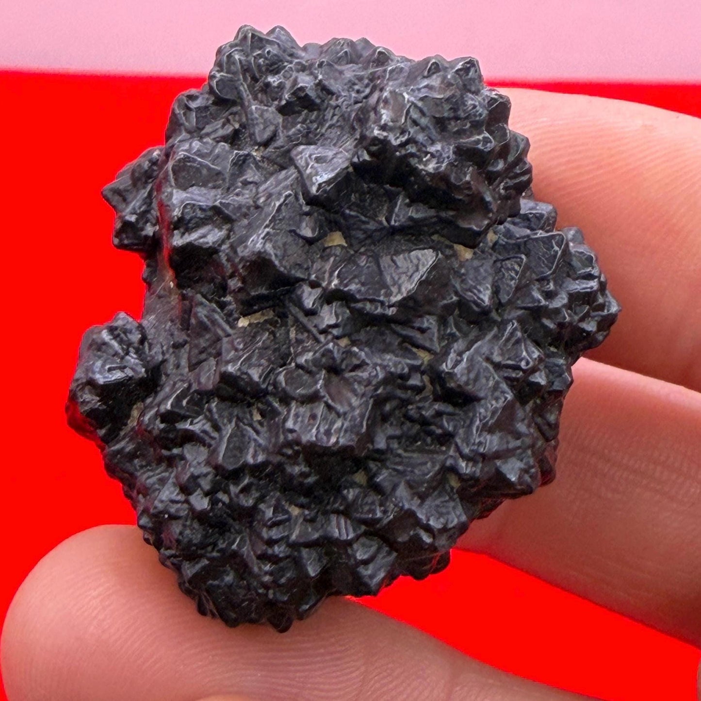 Rare Spiked Prophecy Stone: Egypt, Dreamwork, Egyptian Z Stone, 51.90 grams